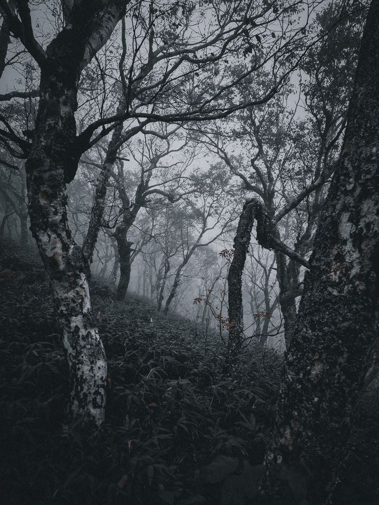 Photograph by Макс Иванов