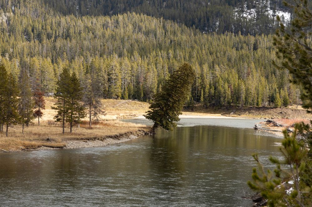 Фотография автора Van Gross