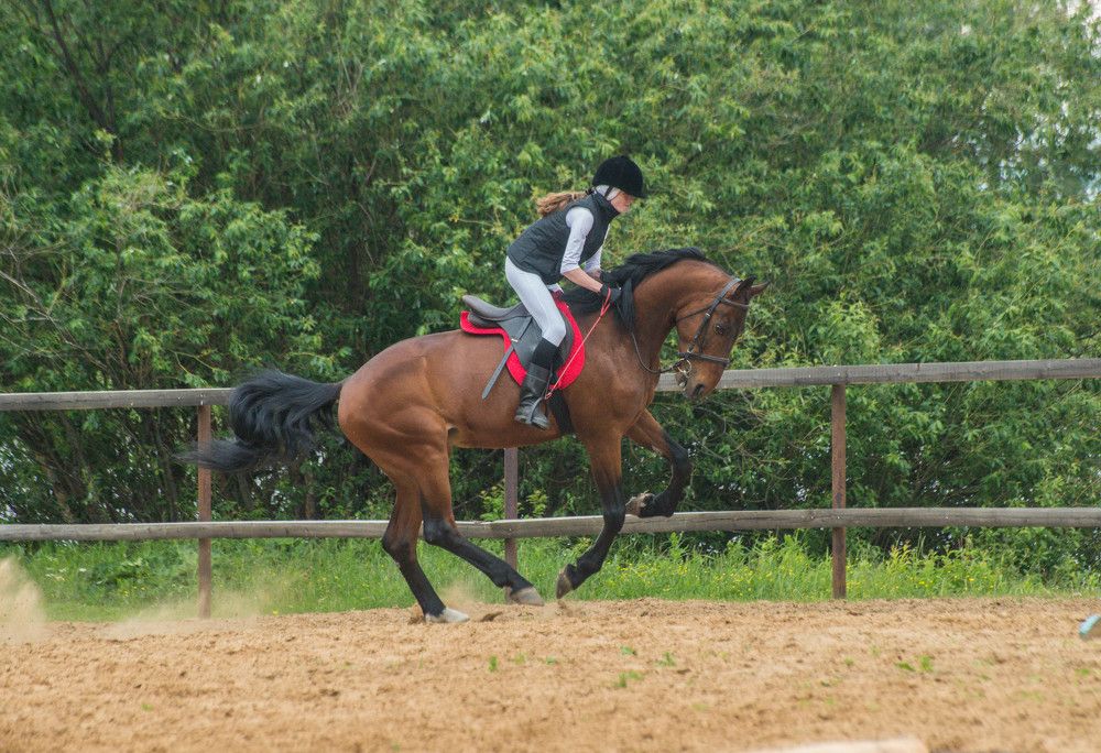 Photograph by Ирина