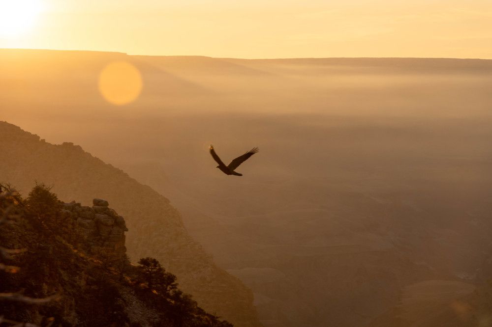 Фотография автора Van Gross