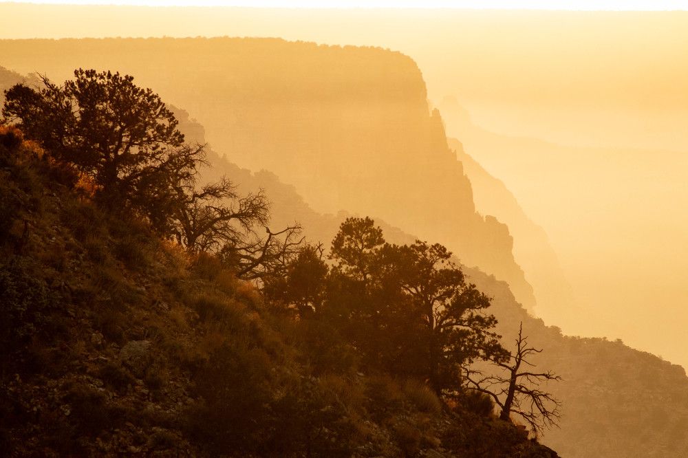 Фотография автора Van Gross