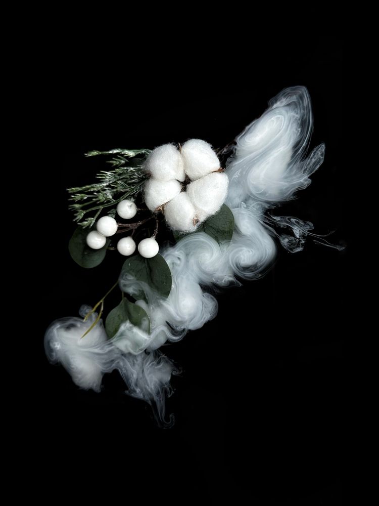 Фотография автора Елена Декерт