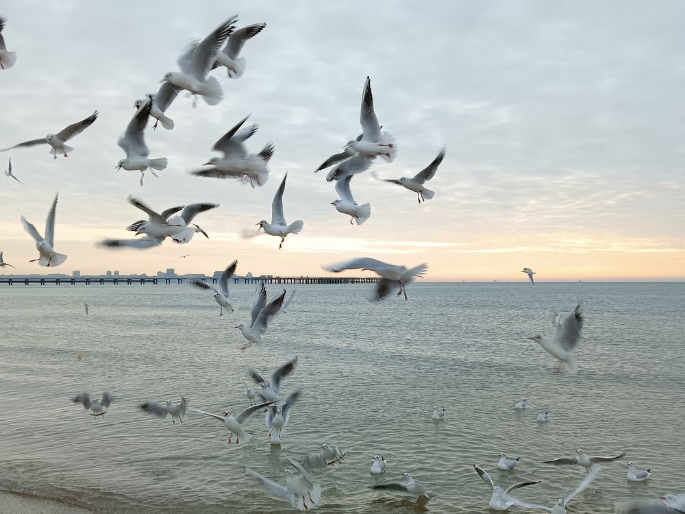 Photograph by Olga Smirnova