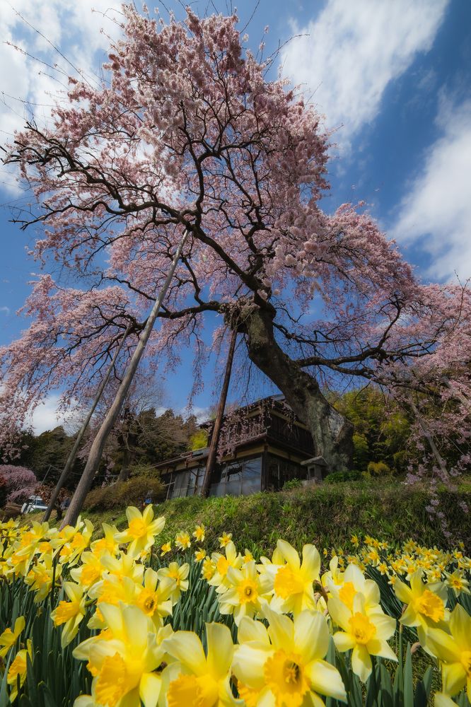 Photograph by photo_booooy