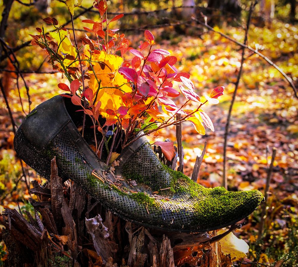 Photograph by Сергей Гаврилов