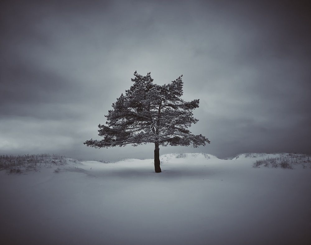 Photograph by Ekaterina Sapezhinskaya