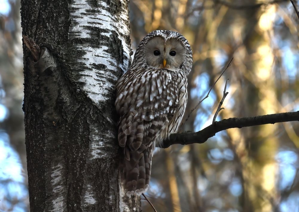 Photograph by Енушевский Георгий