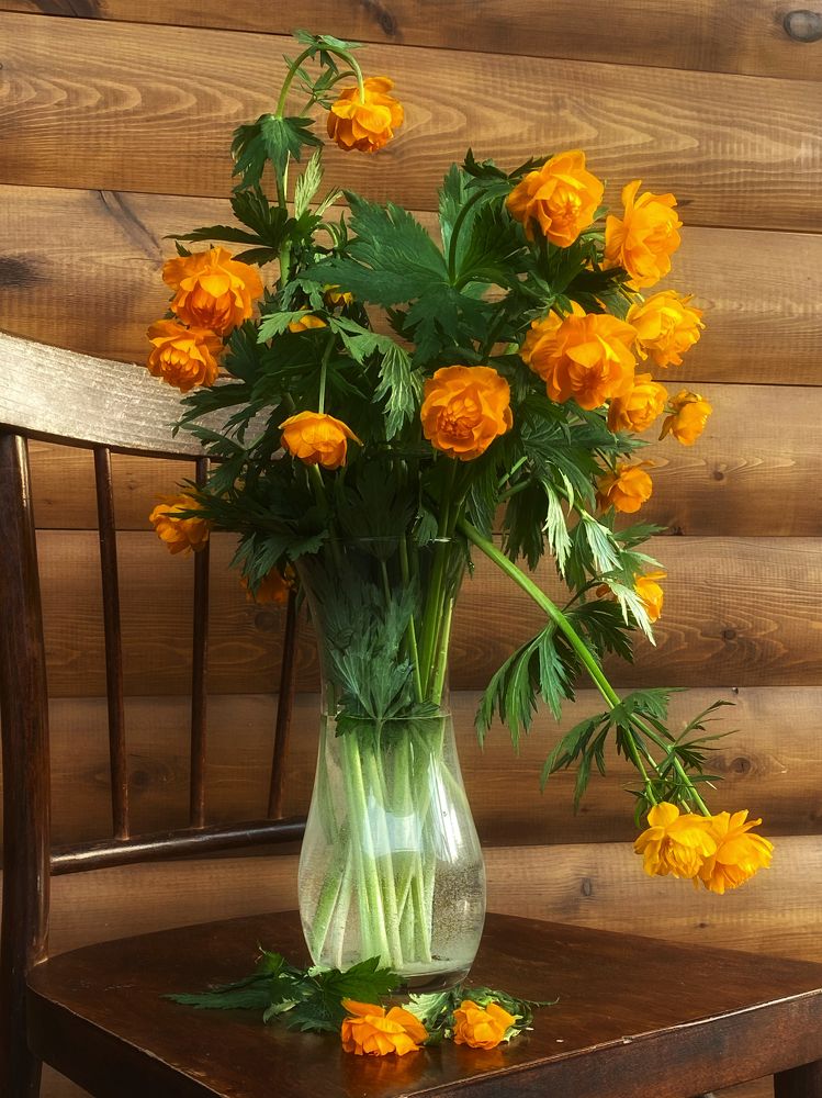 Photograph by Швай Наталья