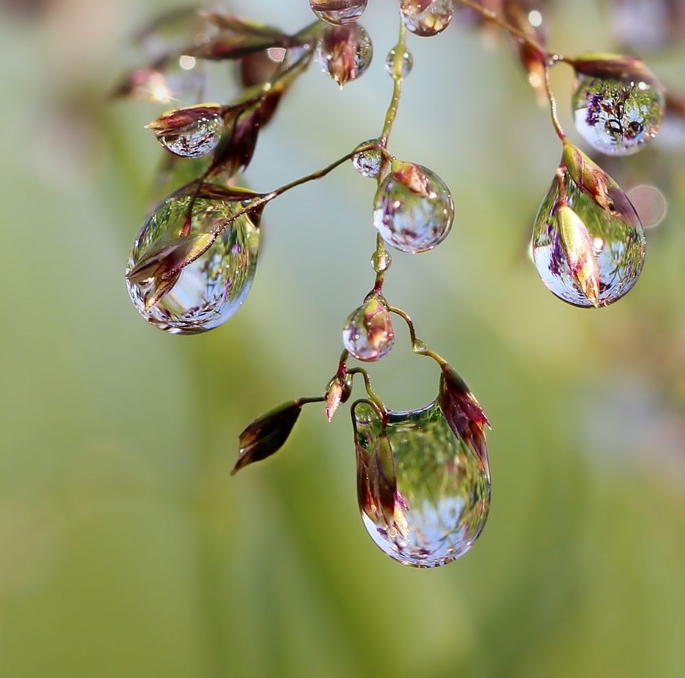 Photograph by Любовь Саханова