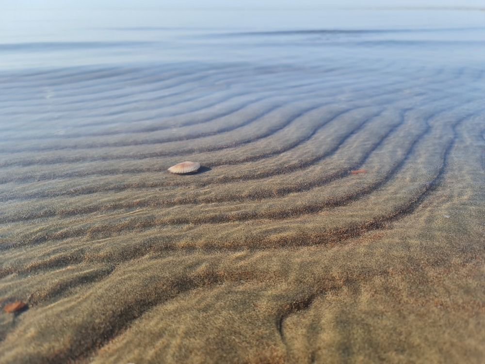 Photograph by фид зон