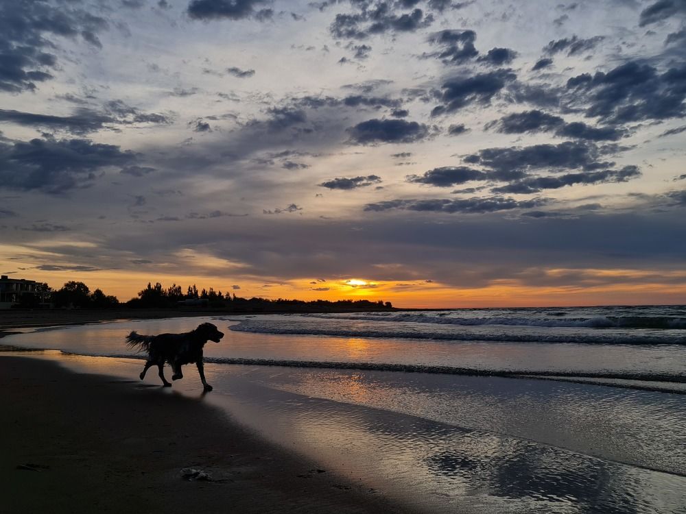 Photograph by фид зон