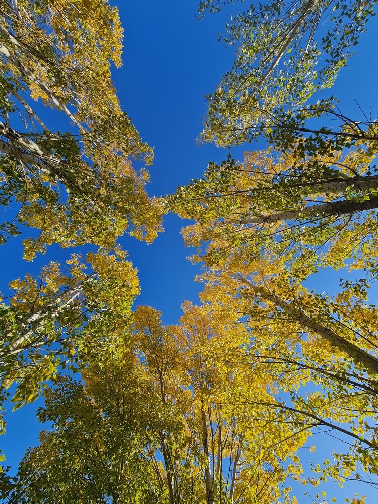 Photograph by фид зон