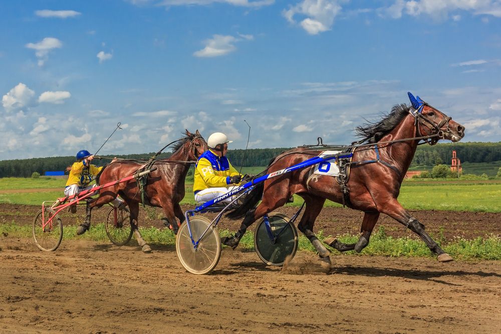 Перед финишем.