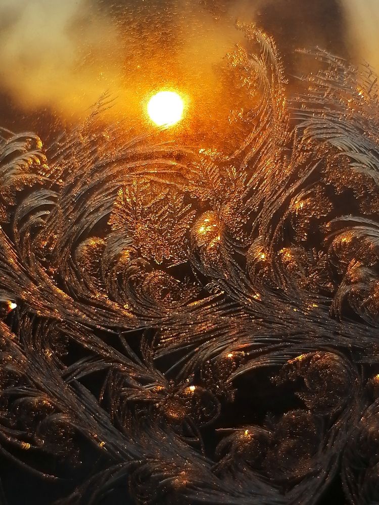 Photograph by Татьяна Бешенкина