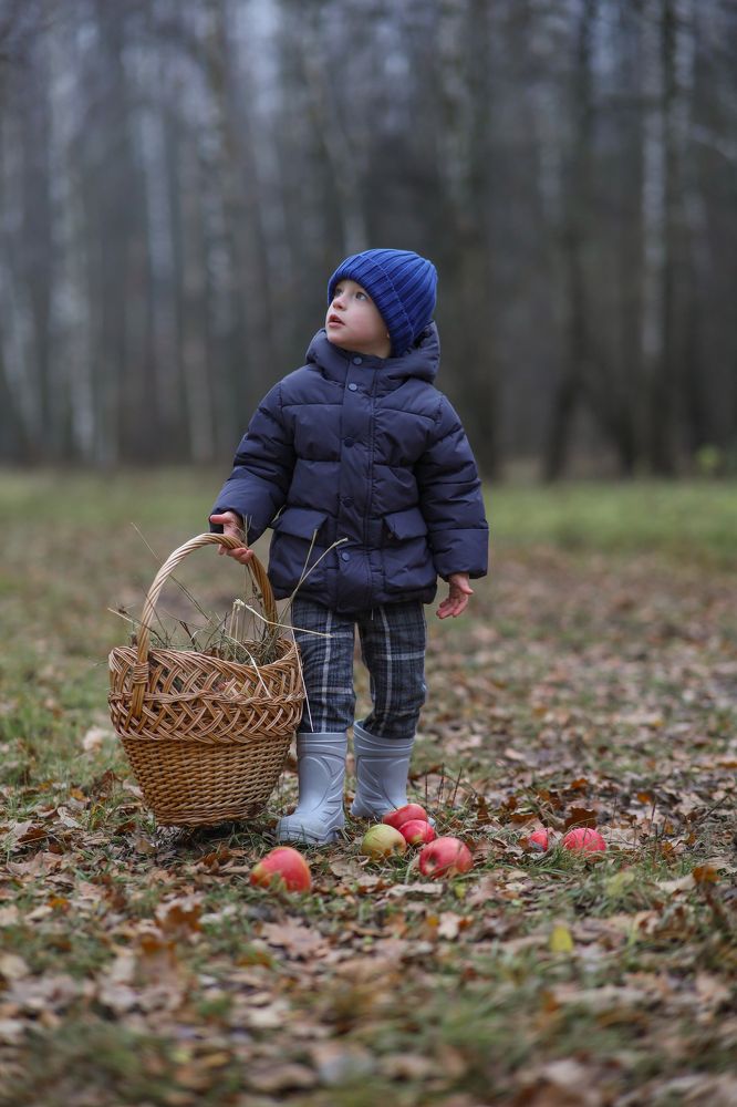 Фотография автора Ольга Кошина