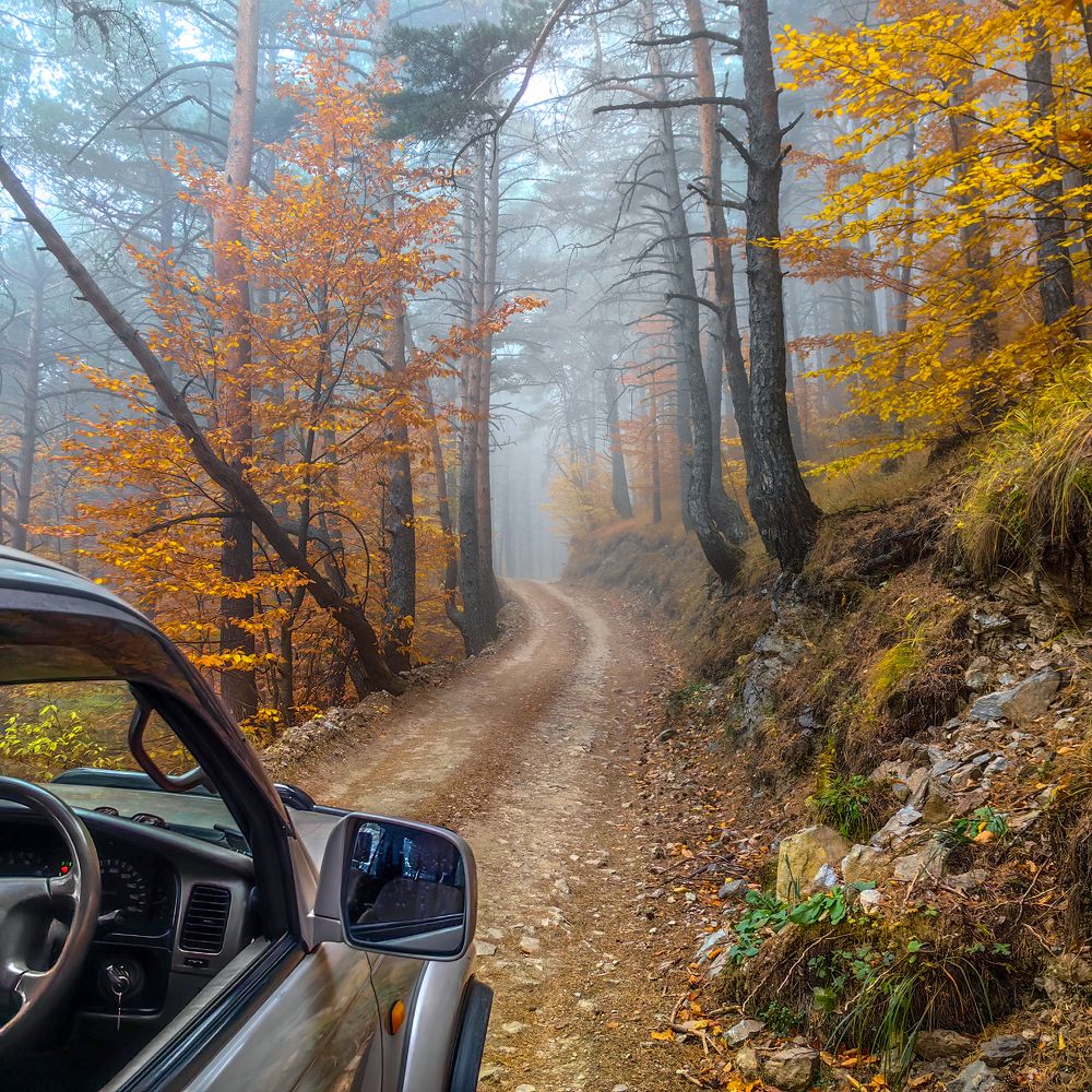 Photograph by Олег Кожухов