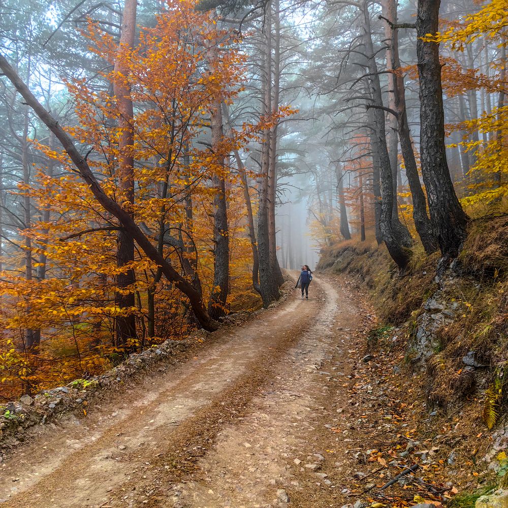 Фотография автора Олег Кожухов
