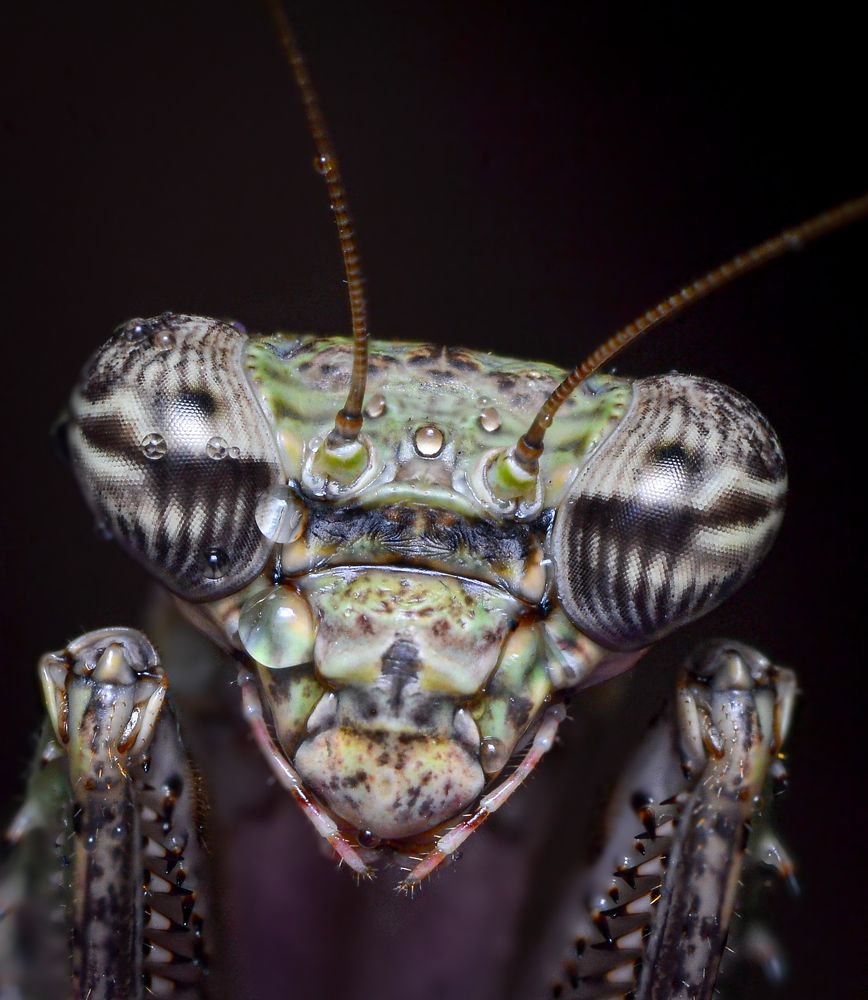 Photograph by Kasun Wickramasinghe