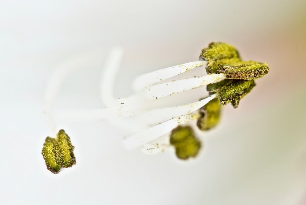 Photograph by Юлия Мартова