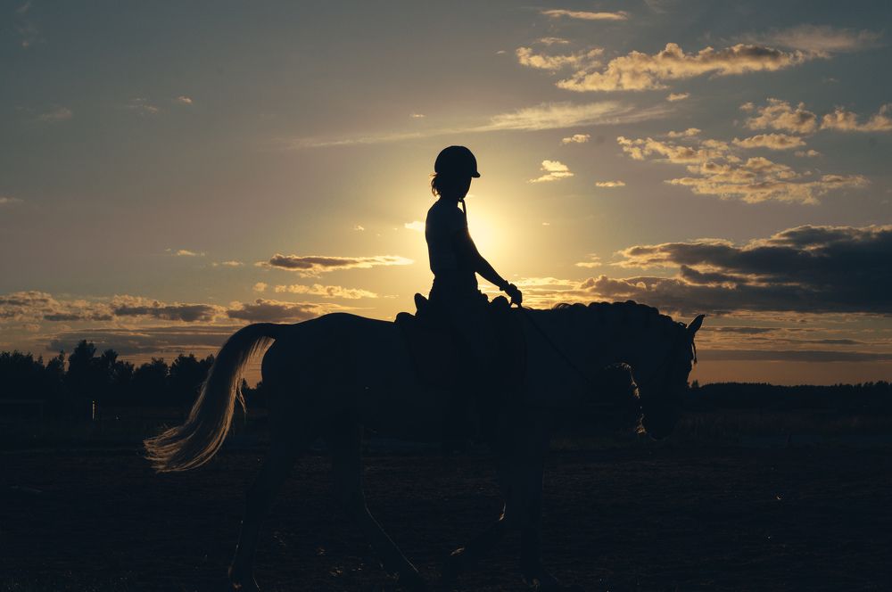 Photograph by Татьяна Чечелева