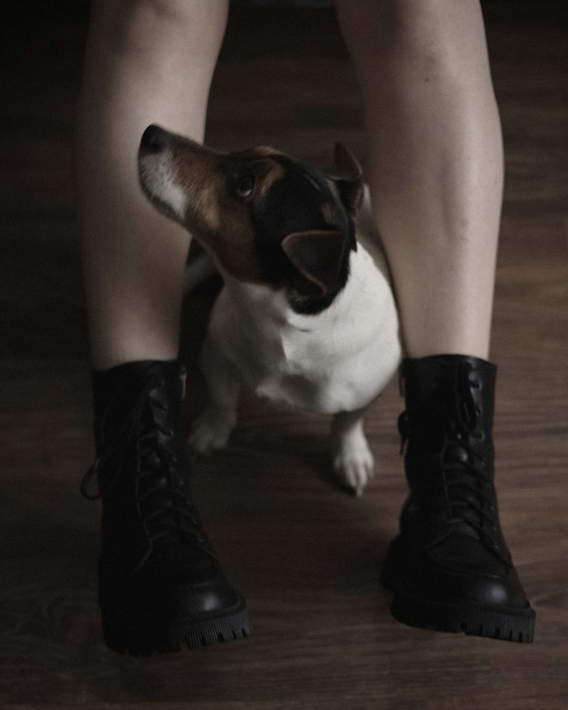 Фотография автора Ирина Мосько