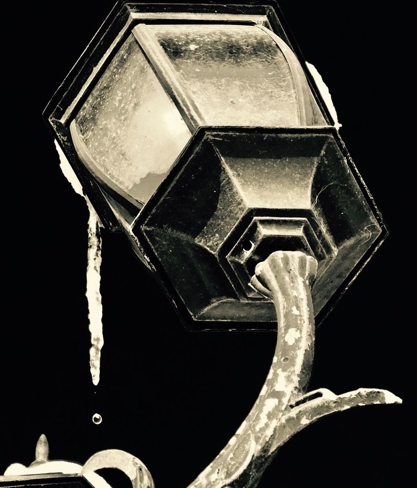 Photograph by Елена Ким