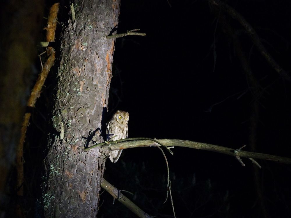 Photograph by Сергей Тузлуков