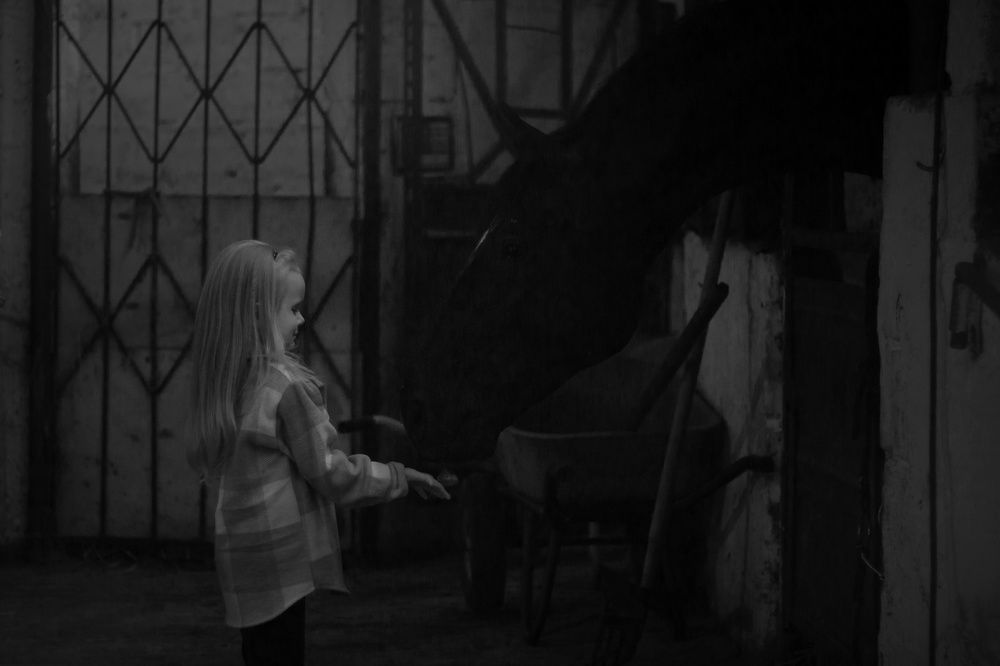 Photograph by Надежда Виденина