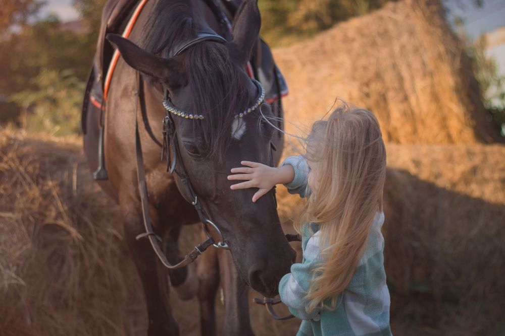 Photograph by Надежда Виденина