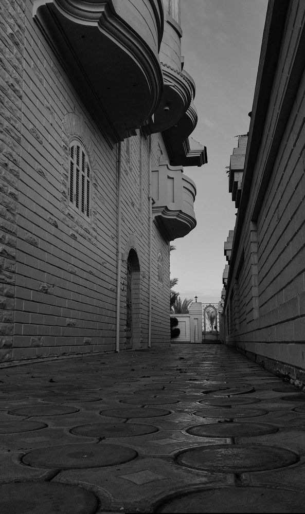 Street in our home in black and white