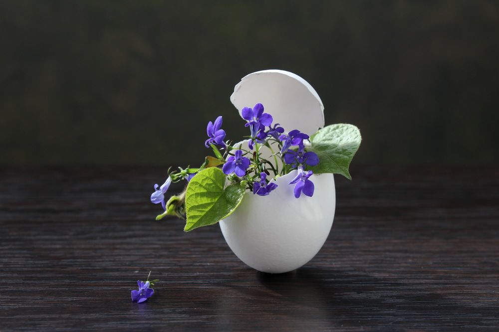 Photograph by Сироткина Нина