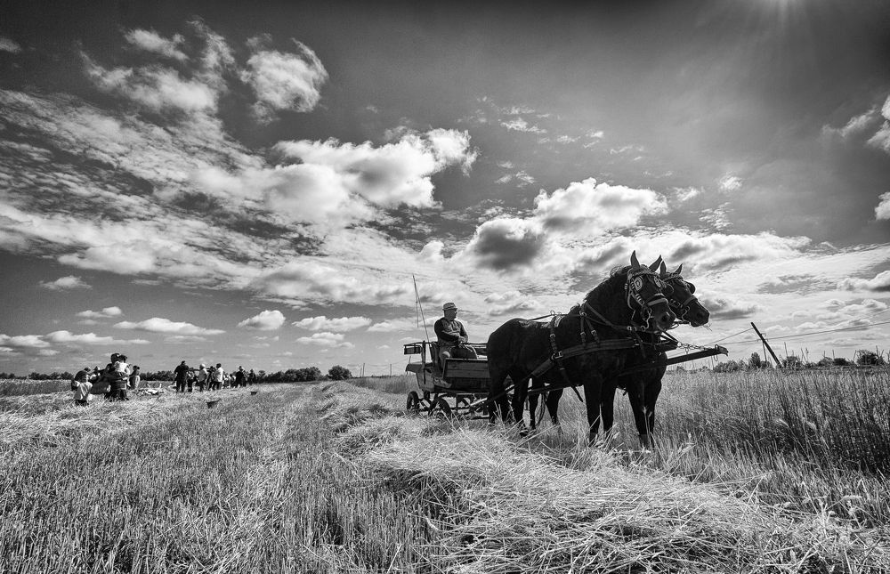 Photograph by Dragan Leles