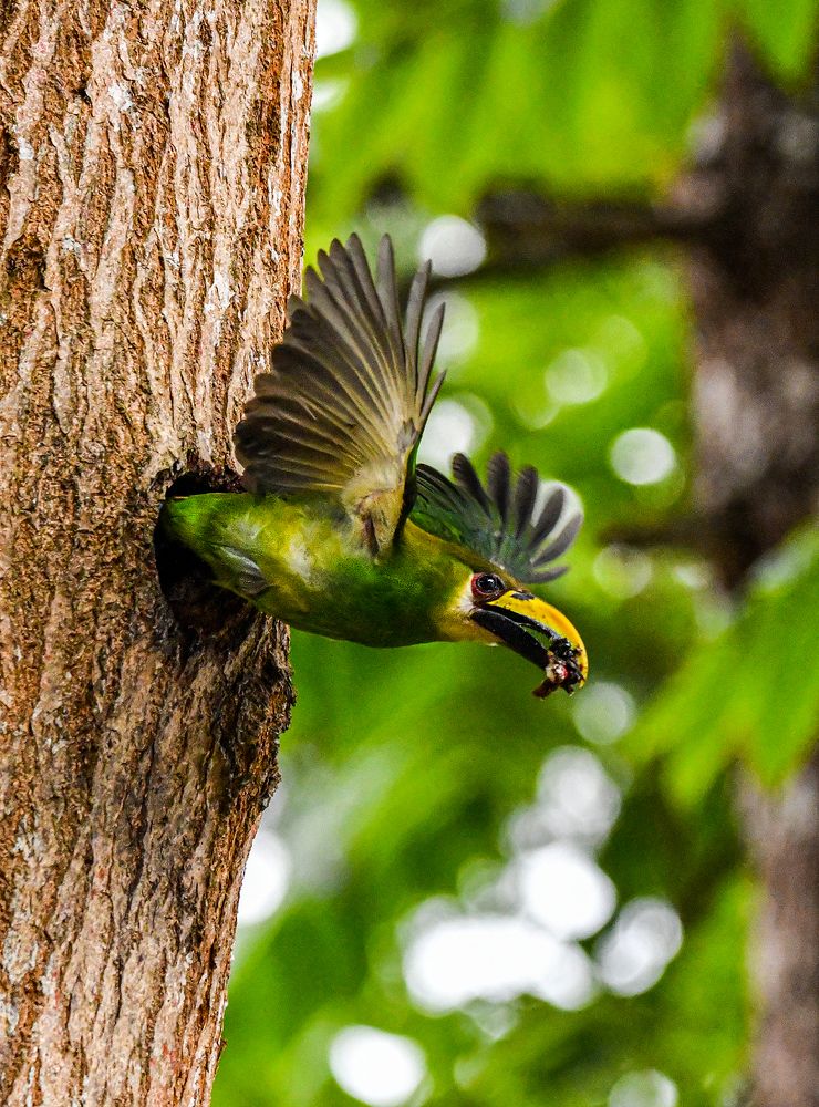 Photograph by Ricardo Ubico