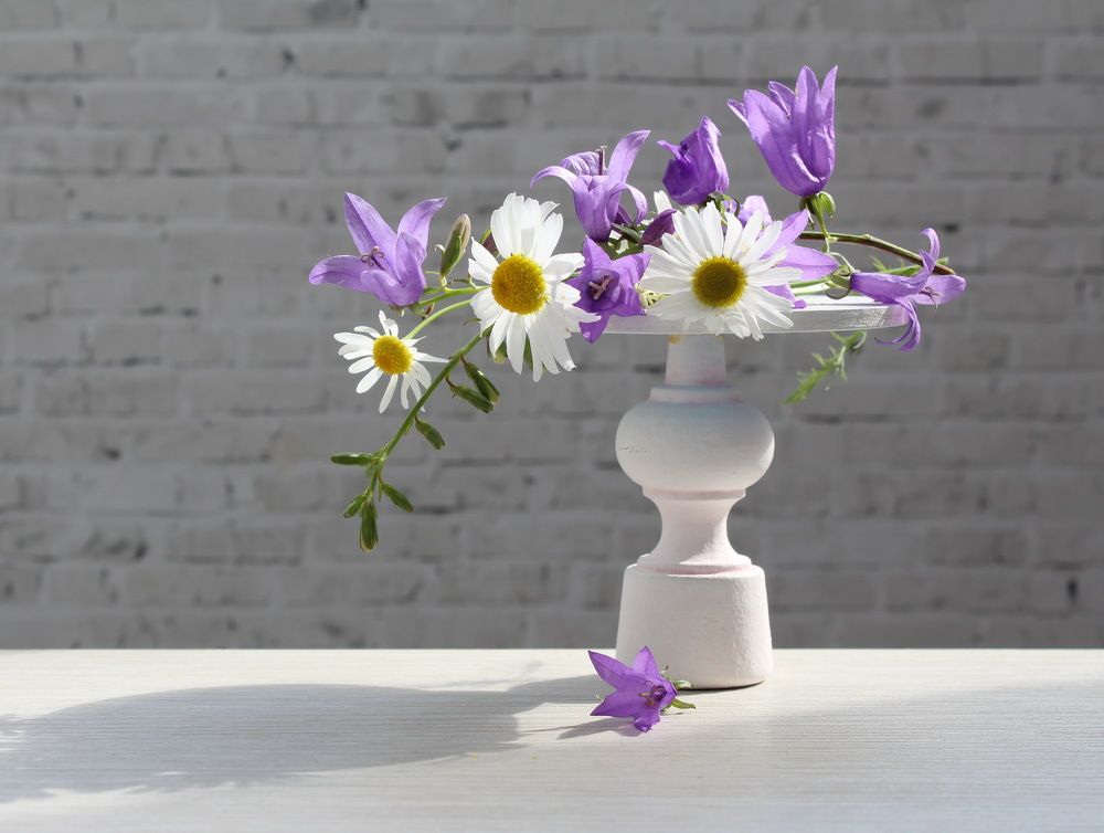 Photograph by Сироткина Нина