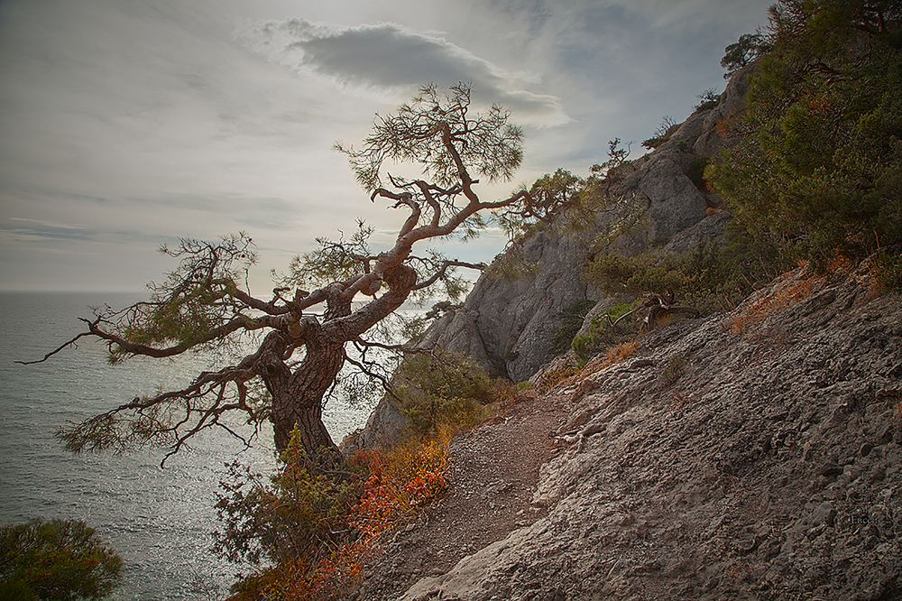 Photograph by Костарев Борис