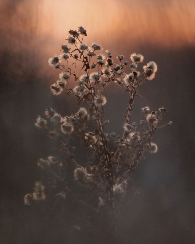 Photograph by Greg Noakes