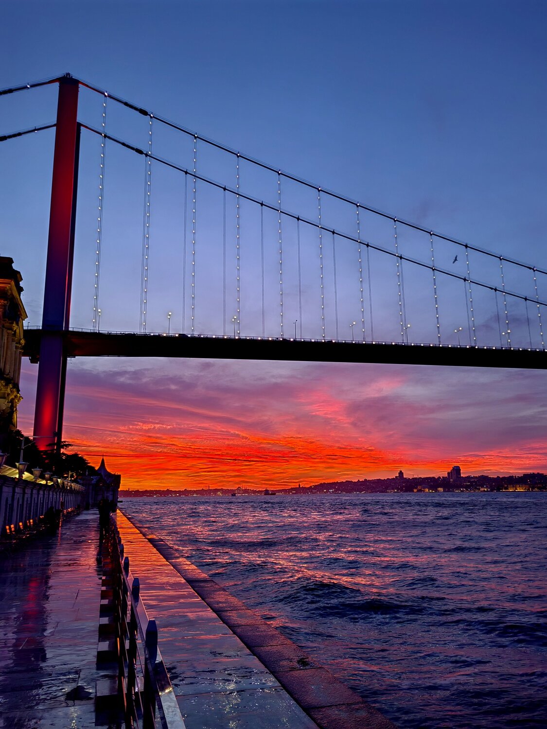 Photo #9980537