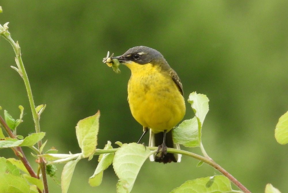 Photograph by Владимир Джерихов