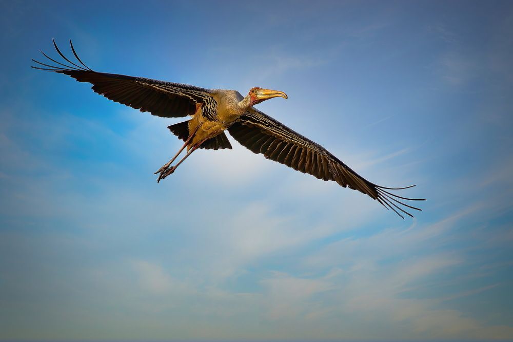 Photograph by Aniket Karane