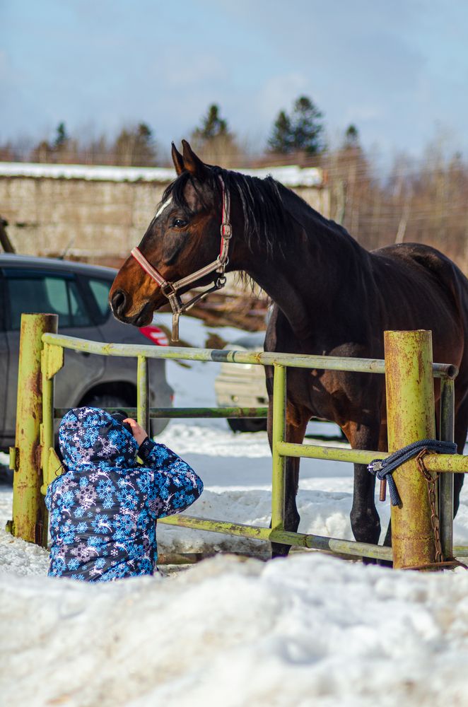 Photograph by Денис Кичев