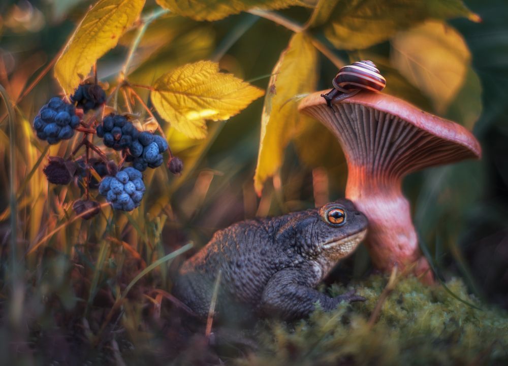 Photograph by Третьякова Анастасия