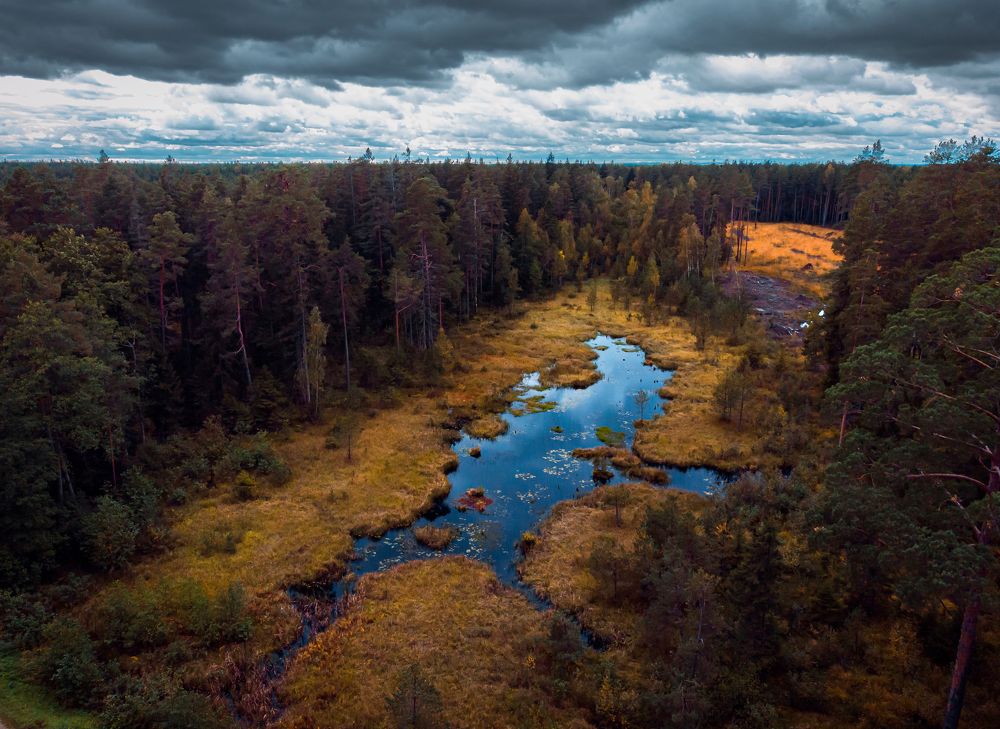 Photograph by Котов Дмитрий