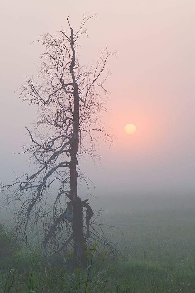 Photograph by Юрий Спасенников