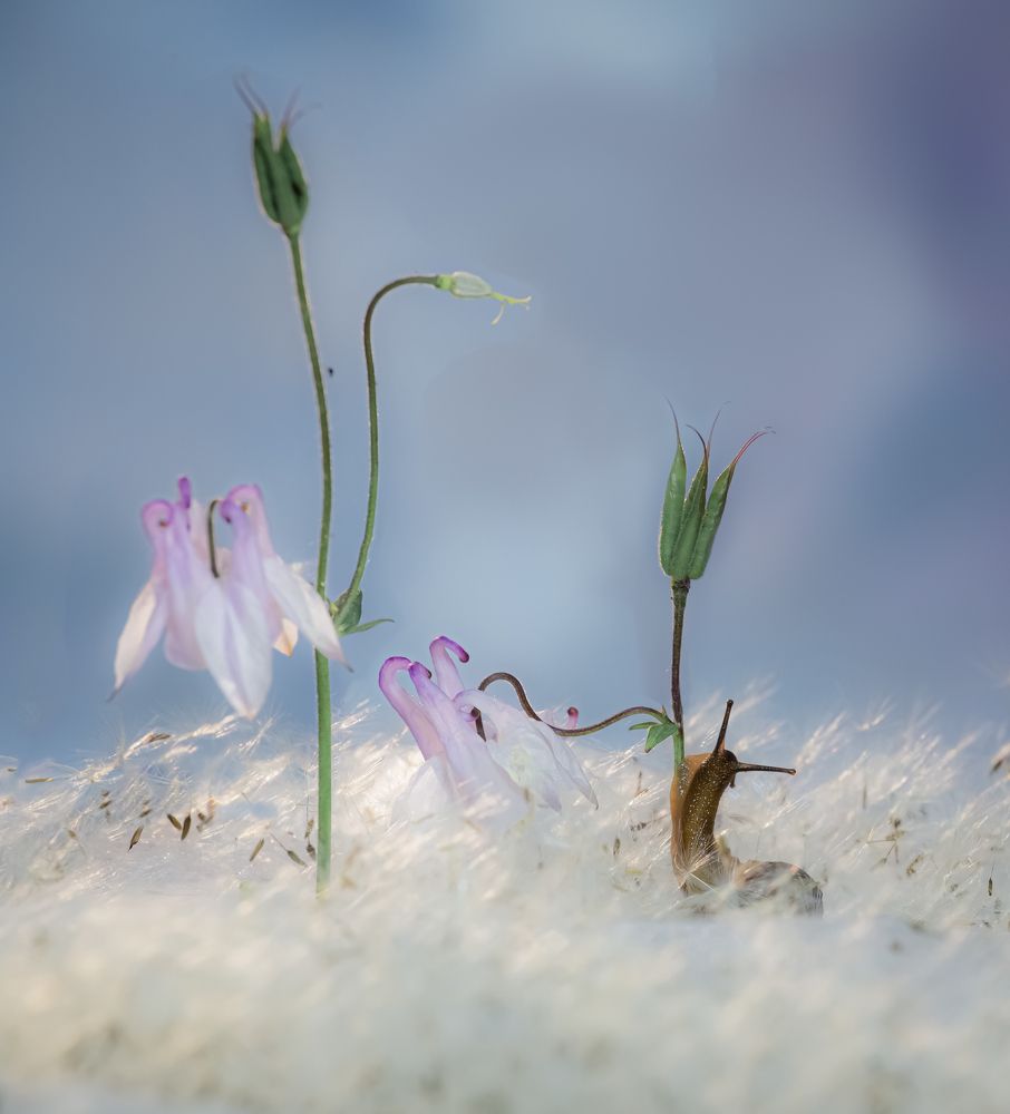 Фотография автора Черновол Валентин