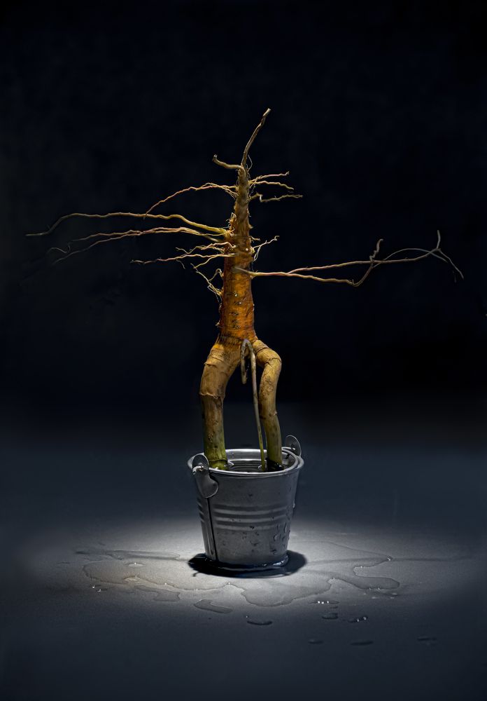 Фотография автора Черновол Валентин