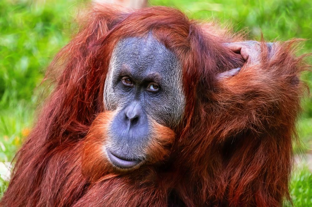 Photograph by David Lerer