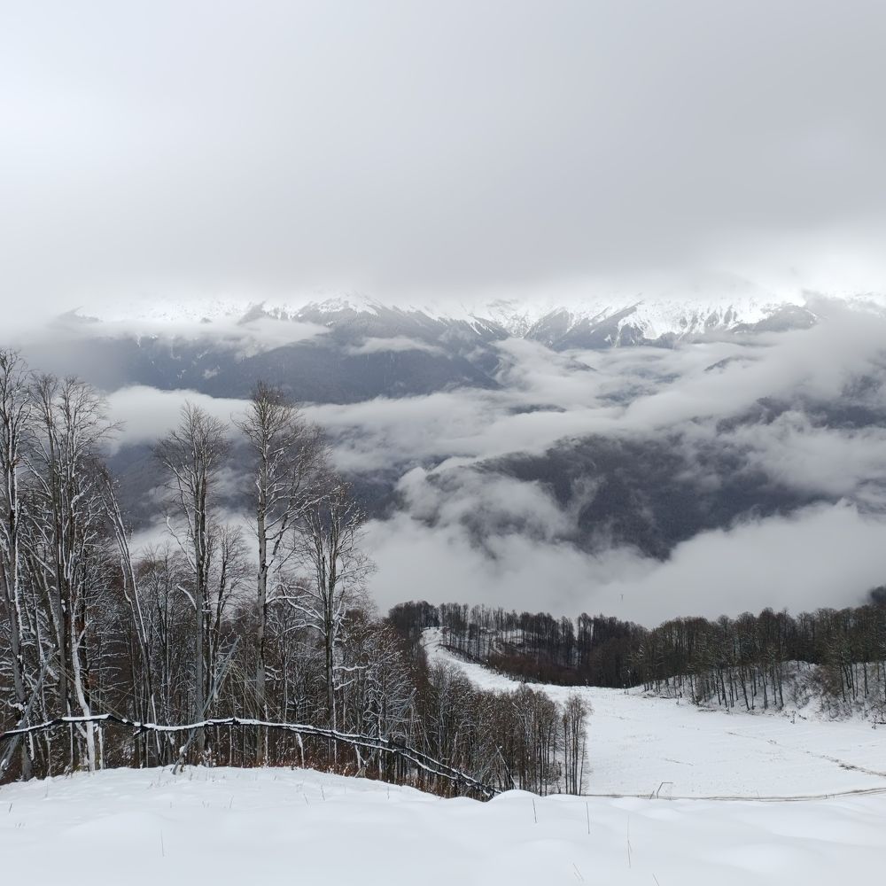 Photo #9980974