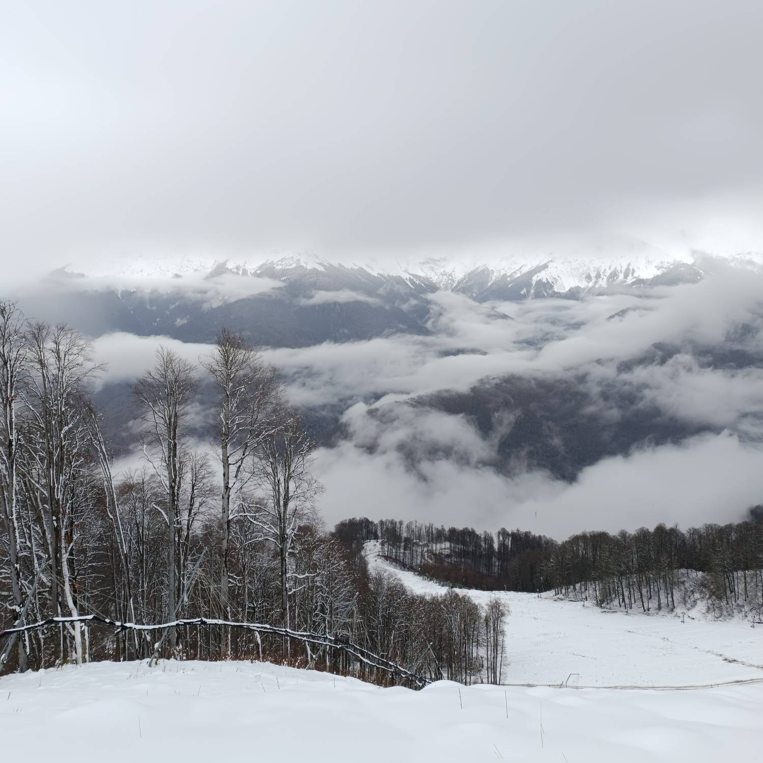 Photo #9980974