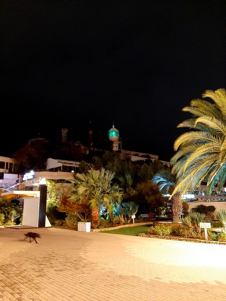 Photograph by Игорь Чечин