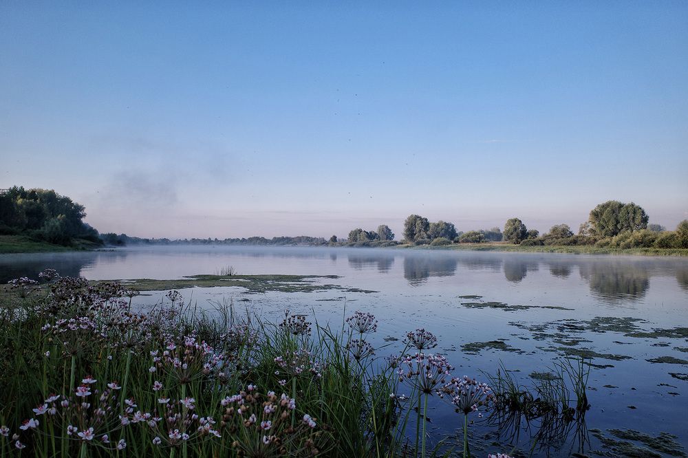 Photograph by Наталья Сафронова